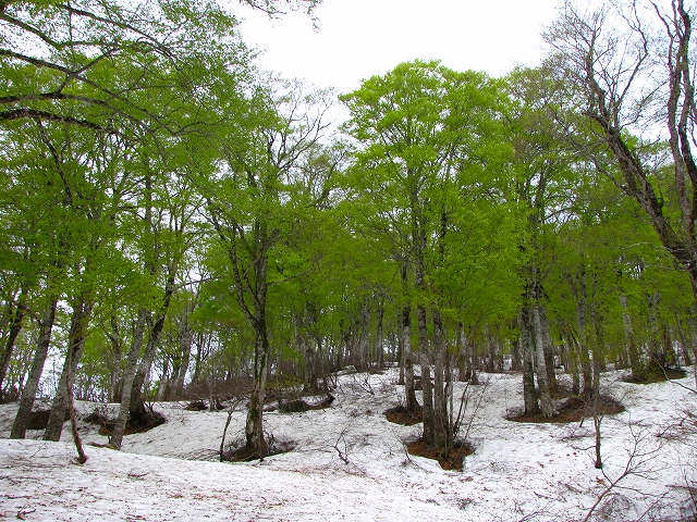 b0097836_14111017.jpg