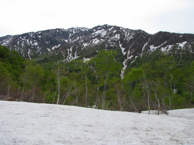 b0097836_1412455.jpg