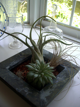 e0110940_3518100.jpg