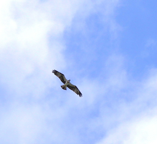 a0167341_13463422.jpg