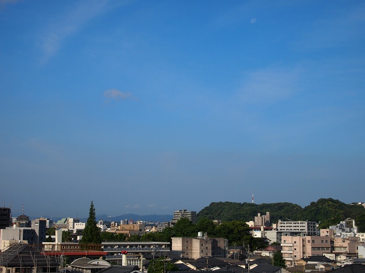 a0146442_7133225.jpg