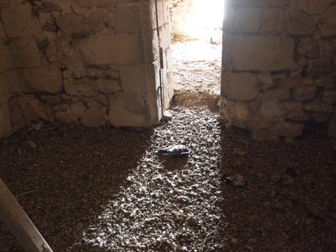 b0069848_6275484.jpg
