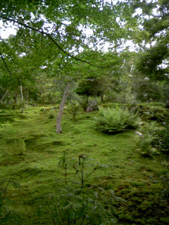d0103548_23463750.jpg