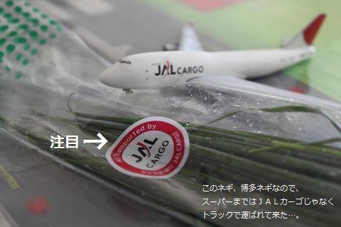 a0090451_0133564.jpg