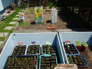 e0004756_202174.jpg