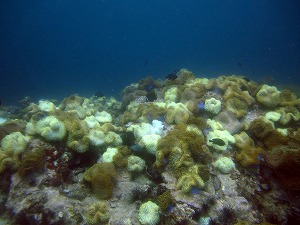 f0176156_15471995.jpg