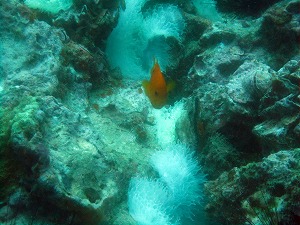 f0176156_15481763.jpg