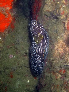 f0176156_15495084.jpg