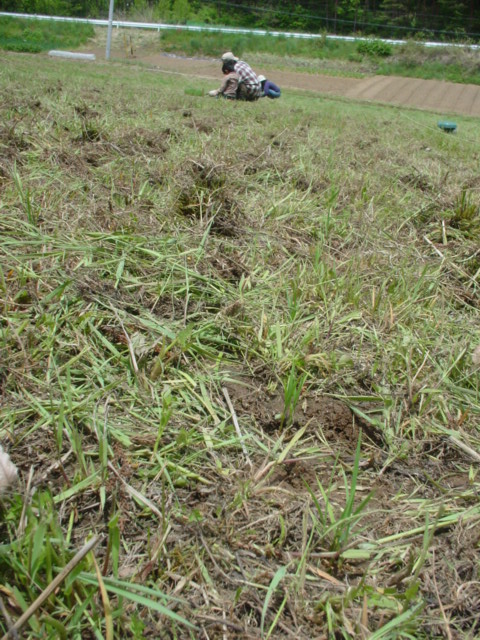 b0156557_17462244.jpg