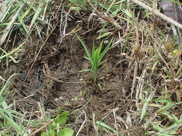 b0156557_17463496.jpg