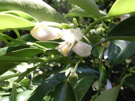 f0201157_10474312.jpg