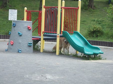 c0097558_20231910.jpg