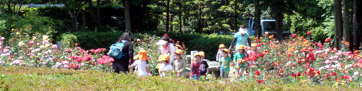 d0029958_19575244.jpg
