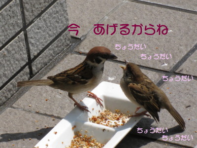 b0158061_1944157.jpg