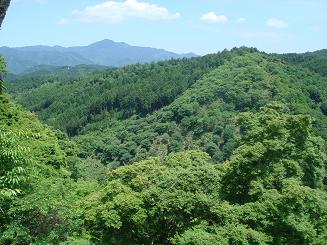 c0148762_1150926.jpg