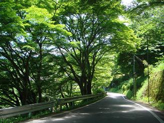 c0148762_1212445.jpg
