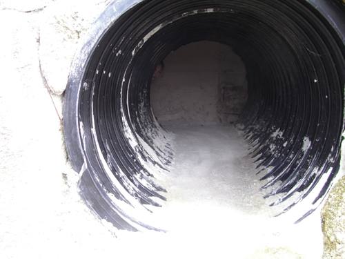 c0048265_8363991.jpg