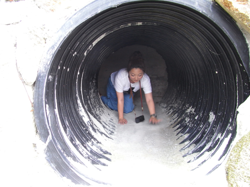 c0048265_8372810.jpg