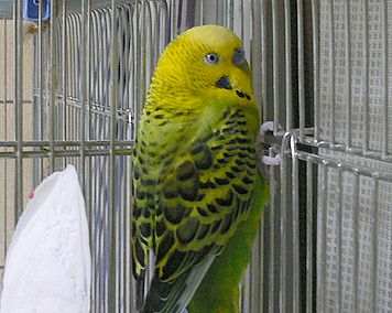 f0196665_23504447.jpg