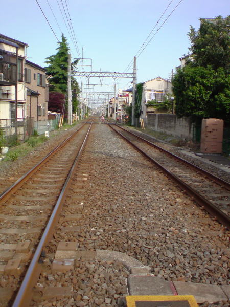 e0153367_18163568.jpg