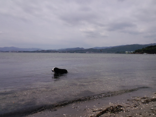 c0177668_12351593.jpg