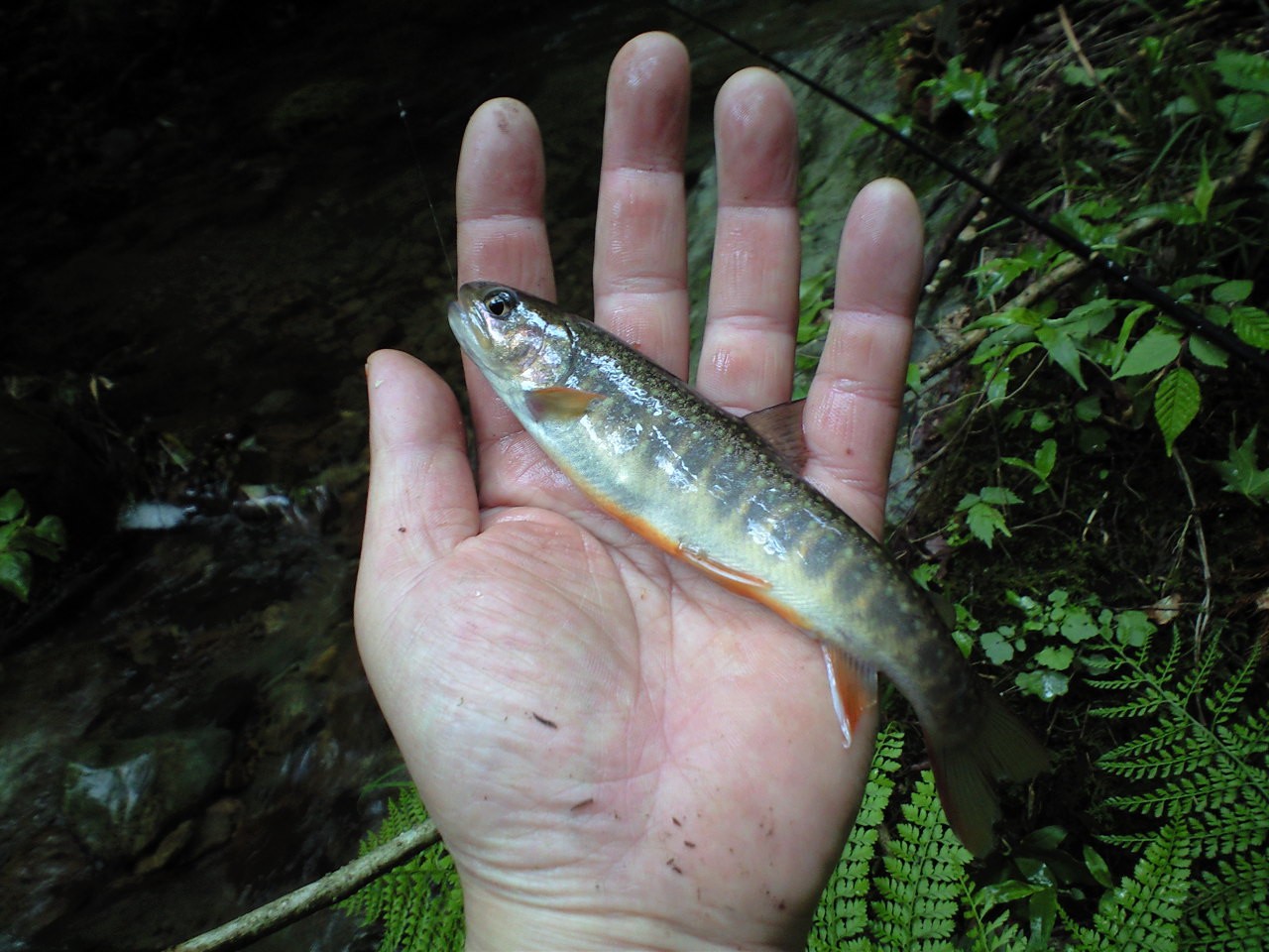 d0094868_21251328.jpg