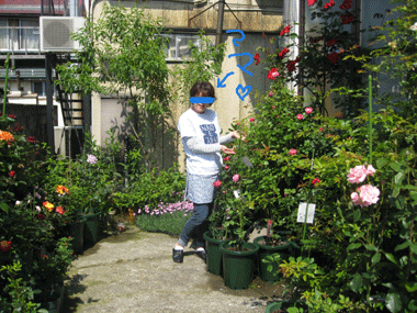d0050871_10114319.gif