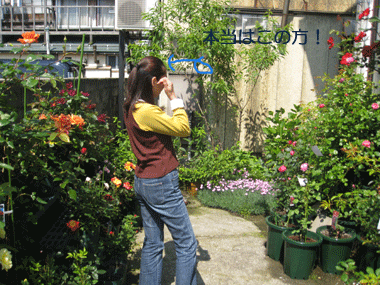 d0050871_10125781.gif