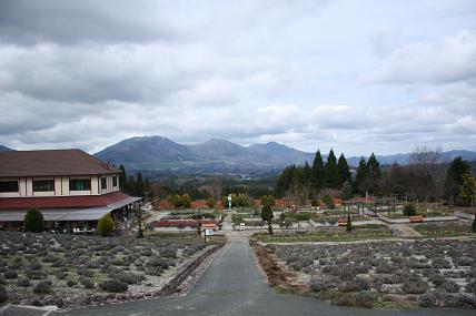 c0174077_8195020.jpg