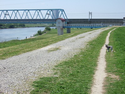 b0143879_2311130.jpg