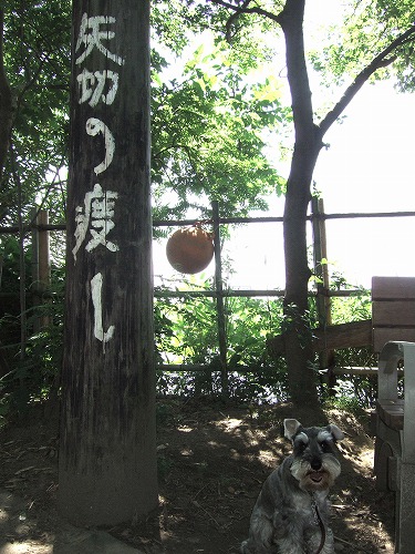 b0143879_23171159.jpg