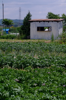 b0127180_21592159.jpg