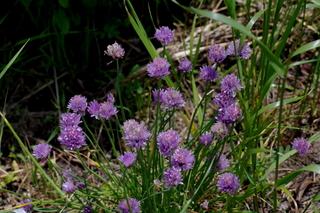 b0127180_22175967.jpg