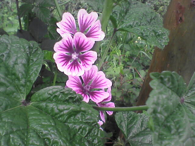 c0069380_19104579.jpg