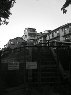 f0100480_20322777.jpg