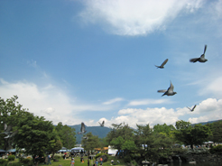 a0062983_162375.jpg