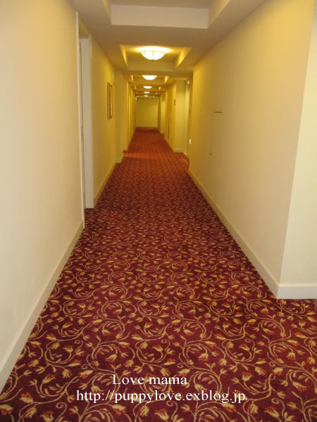 b0136683_16141670.jpg