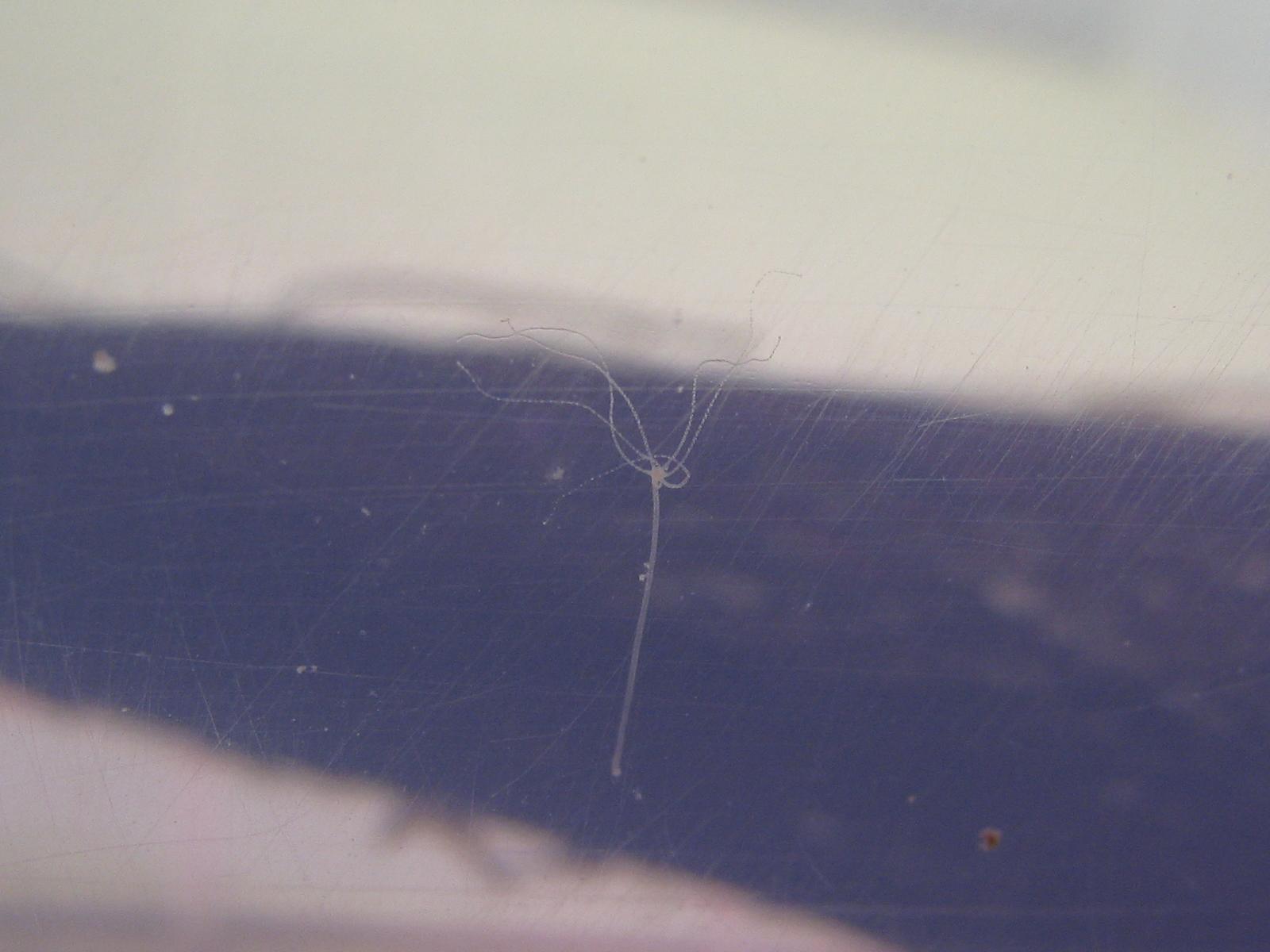 e0176785_12223019.jpg