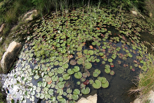 e0190885_2055633.jpg