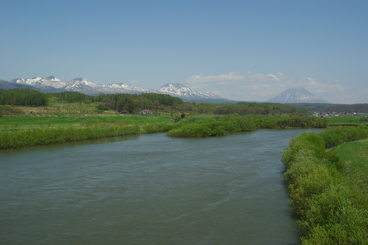 e0051186_2039101.jpg
