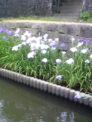 d0143192_12264890.jpg