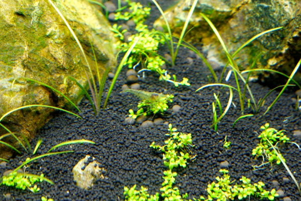 c0225297_444890.jpg