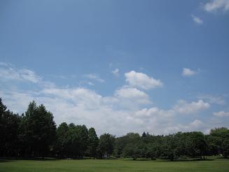 a0144399_22474449.jpg