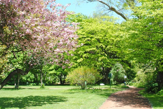 c0199399_1694725.jpg