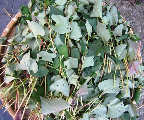 c0125702_2043122.jpg