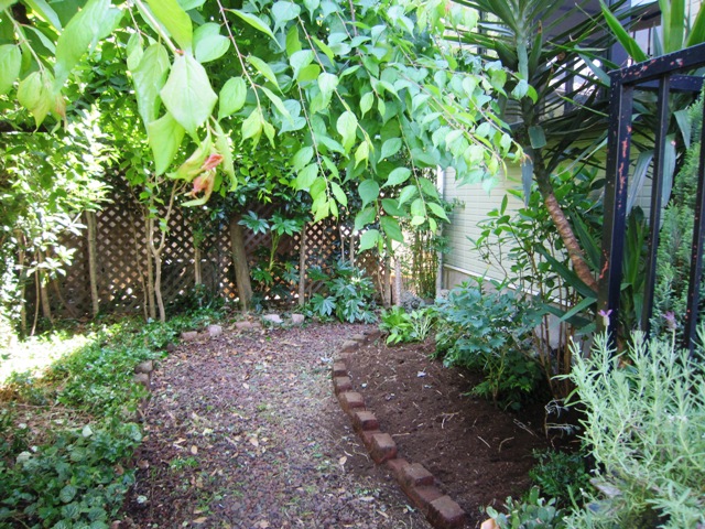 c0125702_219043.jpg