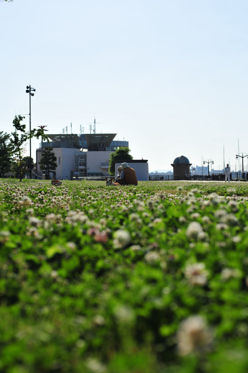 d0119505_635225.jpg