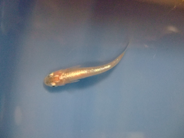 f0152308_1931661.jpg