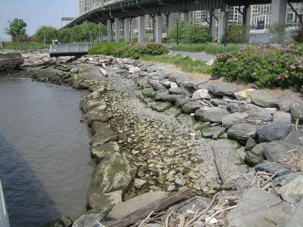 e0196912_012255.jpg