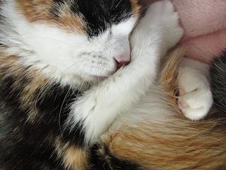 c0201113_21442186.jpg